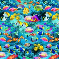 ttMICHAEL-CD4285 REEF